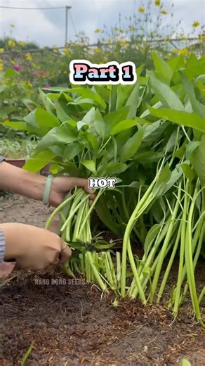 PART 1 My Cheating Wife Proposed an Open Marriage So She Could Keep Sleeping With Her Affair Partner - But Now She's Furious That I'm Dating Her Best Friend She wanted freedom... until she | Thepoolguyml