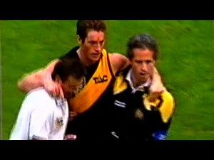 AFL - Richmond v Brisbane 1995 Round 5 - MCG - Highlights