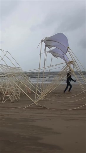 Theo Jansen, Strandbeest on Instagram: "Running with the beast #strandbeest #theojansenstrandbeest #beach"
