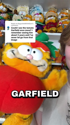 My Tomato Garfield Collection - A Unique Plush Experience
