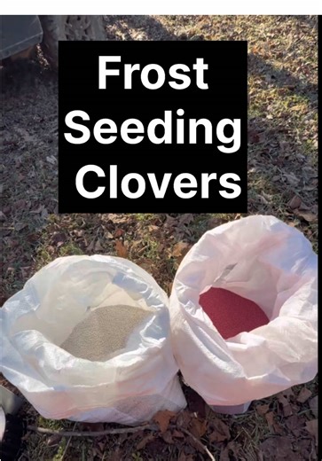 Frost seeding red and crimson clover is one of the easiest habitat improvements you can make. No tractor. No tillage. No fancy equipment. When the ground goes through freeze and thaw cycles, it naturally pulls the seed down into the soil and creates great seed-to-soil contact. I like to frost seed into: • Thin grass • Logging roads • Small openings • Food plot edges Clover improves soil health, provides forage, and helps build better habitat over time. Now we let spring do the work. Have you tri