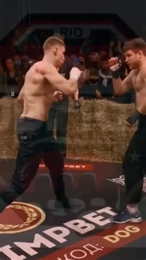 Combat Sports Showdown: MMA and Boxing Action