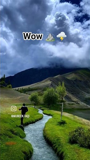 beautiful peace 🕊️🌩️#shortsfeed
