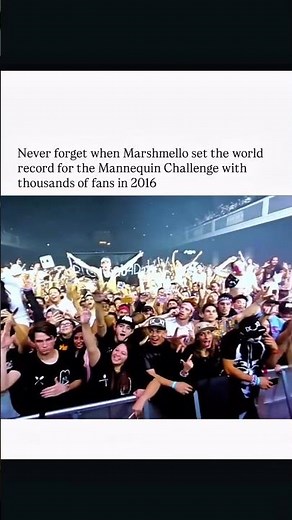 Marshmello Created the Biggest Mannequin Challenge Ever 😱 6,000 Fans Froze Then Went Crazy