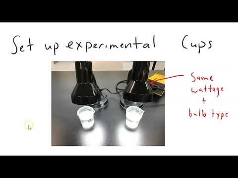 AP Biology Investigation 5: Photosynthesis (Virtual Lab)