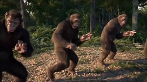 CGI Monkeys Dancing | Know Your Meme