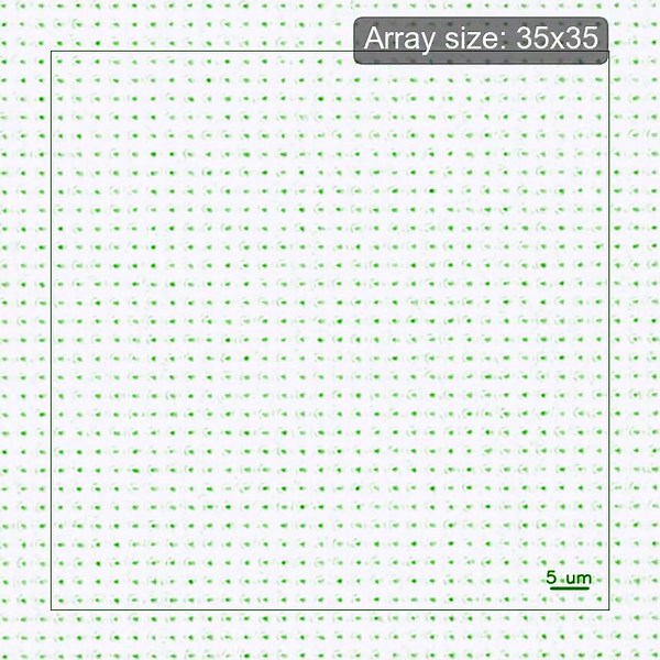 Neutral-atom arrays are a rapidly emerging quantum computing platform. These Columbia researchers know how to make the biggest arrays yet