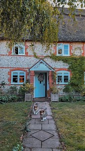 Like two bumbling little hobbits, or maybe even wombles, these two have been nothing but love, the odd puddle, muddy, fun and joy since they arrived at the cottage! Introducing little Bertie and Daisy, brother and sisters who have come to live with us and my parents. Daisy is our new little girl, a friend for Hazel (who is obsessed at having a playmate, she slept next to her all night!) and Bertie will be visiting lots too, so it’ll be chaos all around! They’re the sweetest little dogs and I act