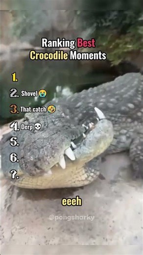 Ranking Best Crocodile Moments