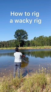1.6K views · 11 reactions | Master the Wacky Rig: Catch more fish,...