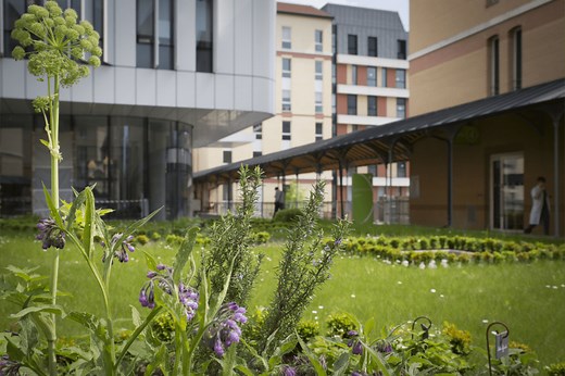 Médecine interne - Médecine polyvalente - Hôpital Paris Saint‑Joseph