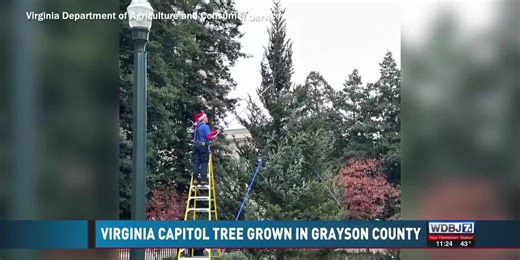 VA Capitol Christmas Tree Preparing to Glow