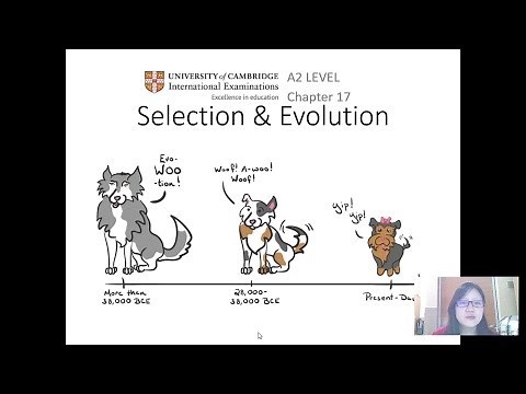 Chap 17 (Part 1a) Variation | Cambridge A-Level 9700 Biology