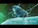 Nature's Most Wicked-Looking Robot, the Bacteriophage