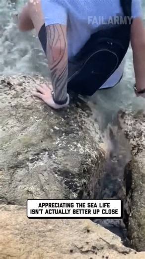 79K views · 180 reactions | FailArmy on Reels | Facebook