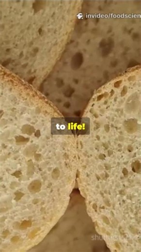 Enzymes: The Secret Sauce in Your Food!