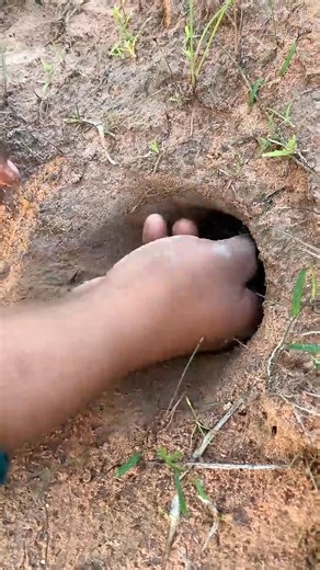 Survival Skills: Simple and useful with frogs#camping #outdoors #bushcraft #survival #hack | Neang Skills