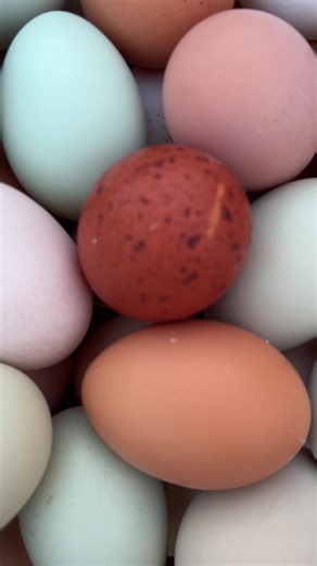 Texas Sunset: Nature's Beautiful Canvas