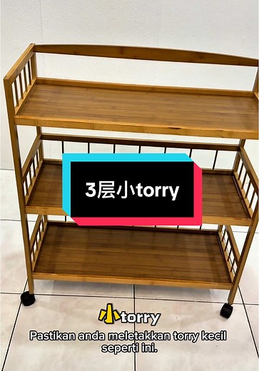 家里必备的漂亮小Torry推车