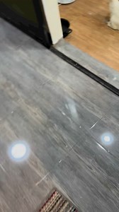 Meow meow😍😍 | Shairaa Moro Singer