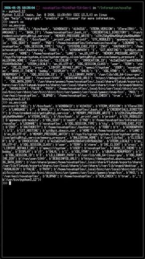Environment Variables with `os.environ` in #Python #Programming #Coding