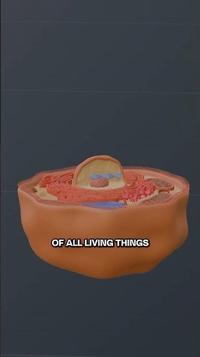 How Atoms Create Life: The Human Blueprint 😮