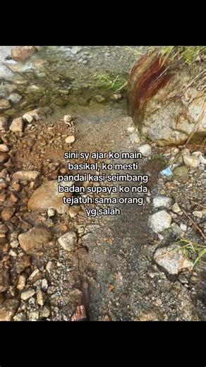 Learning to Balance on a Bicycle: Tips for Beginners