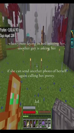 Reflecting on Beauty in Minecraft Community