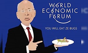 WEF: ‘BUG-EATING AGENDA’ IS ABOUT DESTROYING HUMAN FREEDOM