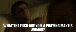 What the fuck are you, a praying mantis woman?