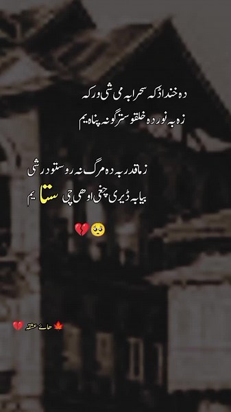 Pashto Poetry: A Heartfelt Expression of Love