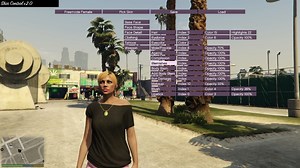 Skin Control - Mods - Téléchargements GTA 5