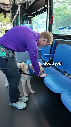 Bus Ride with Guide Dogs