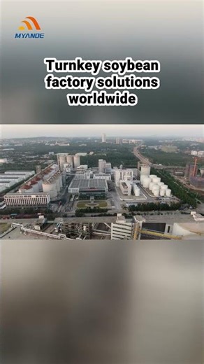 Unlock the Secrets of Soybean Factory: From Bean to Pure Oil