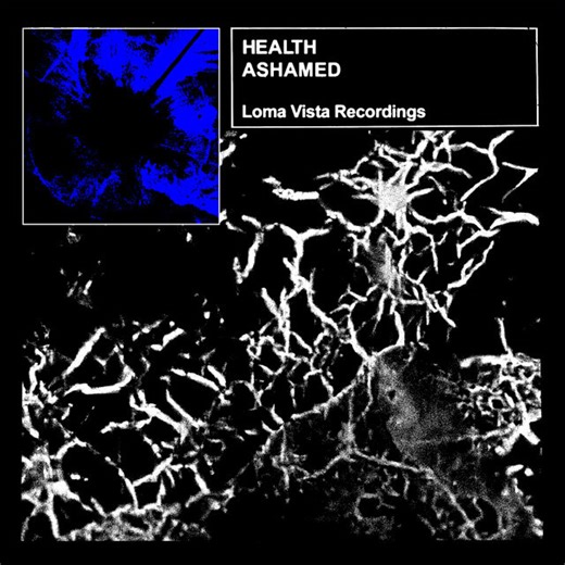 HEALTH - ASHAMED Lyrics