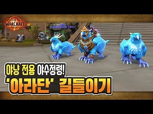 🐤 야냥 야수정령! '폭풍떼까마귀 아라단' 길들이기 [와우 내부전쟁]