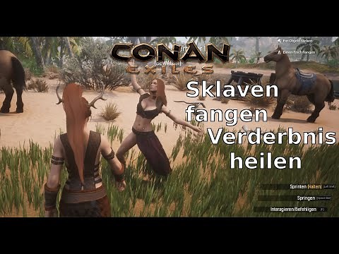 Sklaven fangen und sich selbst von Verderbnis heilen - Conan Exiles