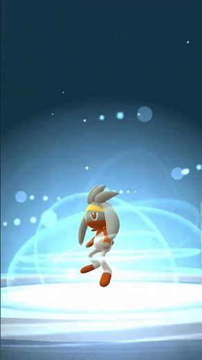 evolving shiny scorbunny #pokemongo #pokemon #shiny #pokemonchannel #evolution #cinderace #scorbunny