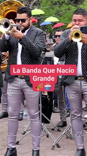 La Banda Que Nació Grande Banda Cerro De Sauces La Banda Que Nació Grande #musicadeviento #musicainstrumental #fypシ゚ #VBMusick | Virus Bandero