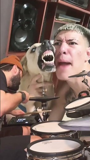 The Return of the Metal Dog