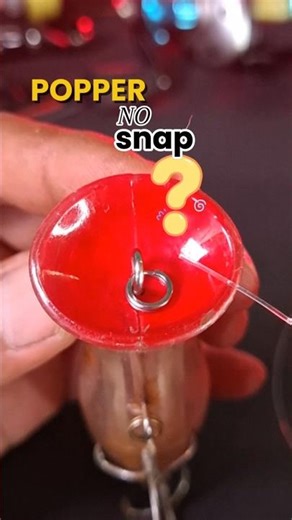 popper tampa snap #hookfishing #fishing #popperfishing