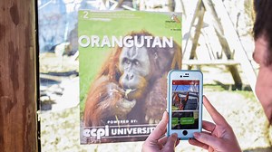 Virginia Zoo offering brand new augmented reality tour