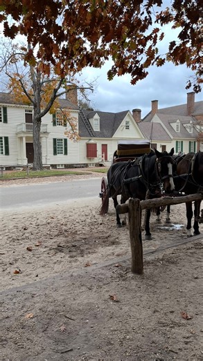 A carriage ride is really the best way the see Colonial Williamsburg. Can’t wait to visit again next summer!! #colonialwilliamsburg #fall #horsedrawncarriage #carriageride #virginia #historictriangle | There & Back McGann