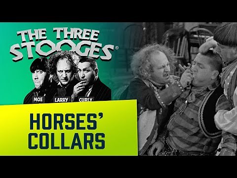 The THREE STOOGES - Ep. 5 - Horses Collars
