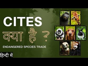 CITES | Convention on International Trade of Endangered Species #species # endagered #tiger