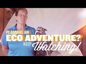 Daytona Beach, Florida Is Eco Fabulous :60