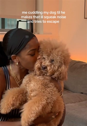 Cuddling My Mini Poodle: The Joy of Dog Companionship