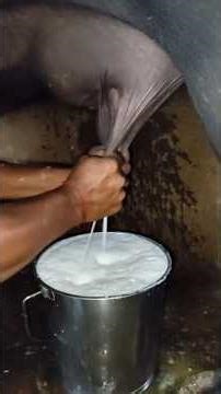 5000/- விலை தள்ளுபடி விலையில் Trolley Milking Machine|Small farm #agriculture #coimbatorefarming