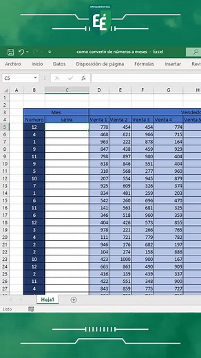 Cómo convertir de números a letras de meses en excel #especializacionenexcel #officeexcel #exceltips #tipsexcel #abrirexcel #formulasexcel #excel #excelintermediario #excelfacil #excel365 #microsoftexcel #excelplantillas #cursoexcel