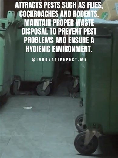 Did you know one of the fastest ways to invite pests into your home or workplace is poor waste management? Pests don’t come randomly, they come for three things: food, water and shelter. And trash provides all three. #pestcontrolservice #PestControlSolutions #innovativepestmy #foryoupage #innovativepestmanagement